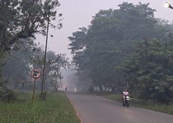 Terbawa Angin, Tabalong Dikepung Asap