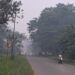 Terbawa Angin, Tabalong Dikepung Asap