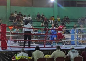 Perdana Digelar, 176 Petinju Unjuk Gigi di Kejuaraan Tinju Tabalong Smart 2026