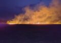 184 Hektar Lahan Pertanian di Tabalong Terbakar Sepanjang Januari-September 2026
