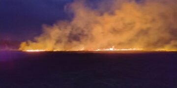 184 Hektar Lahan Pertanian di Tabalong Terbakar Sepanjang Januari-September 2026