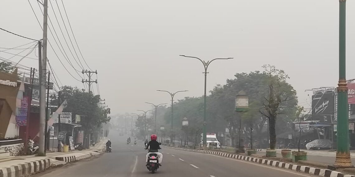 MENGENAL PM2.5 : Pembunuh Senyap Mikroskopis di Balik Pekatnya Asap Karhutla
