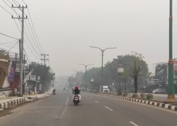 MENGENAL PM2.5 : Pembunuh Senyap Mikroskopis di Balik Pekatnya Asap Karhutla