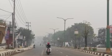 MENGENAL PM2.5 : Pembunuh Senyap Mikroskopis di Balik Pekatnya Asap Karhutla