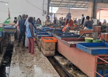 Posisi Pedagang Ikan dan Toko di Los Pasar Kapar Bakal Diatur Lagi