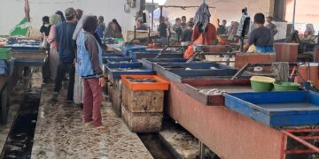 Posisi Pedagang Ikan dan Toko di Los Pasar Kapar Bakal Diatur Lagi
