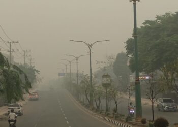 Kabut Asap Ancam Kesehatan, Bupati Tabalong Terbitkan Imbauan Penting untuk Masyarakat