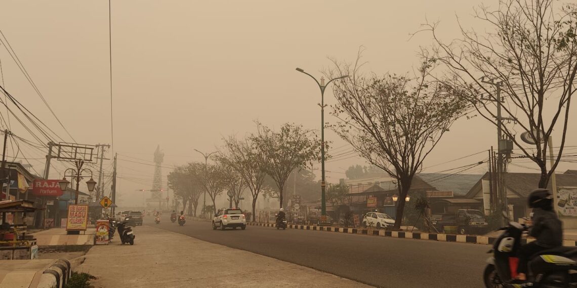 Kabut Asap Karhutla, Dinkes Tabalong Ingatkan Masyarakat Bahaya Ispa