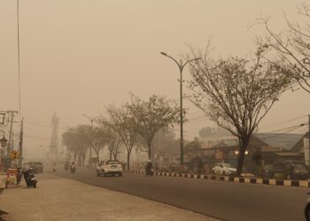 Kabut Asap Karhutla, Dinkes Tabalong Ingatkan Masyarakat Bahaya Ispa