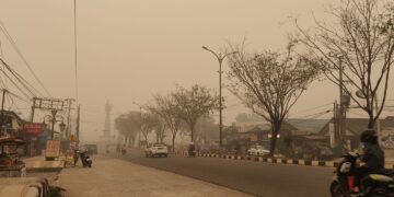 Kabut Asap Karhutla, Dinkes Tabalong Ingatkan Masyarakat Bahaya Ispa
